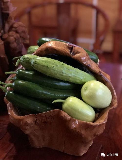 网红吃最贵的瓜  第2张