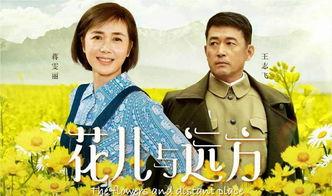 电视剧花儿与远方全集在线观看,穿越时空的浪漫传奇